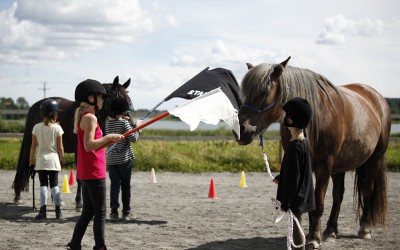 Ovanligt hästdagläger juli 2012