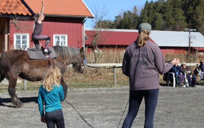 En barngrupp från Stockholm Voltige är på besök och tränar på Ängens hästar. 10 april 2016.