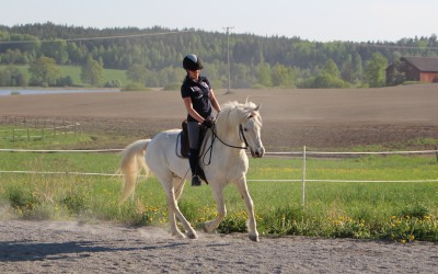 Johanna rider lektion på Mille. 14 maj 2018.