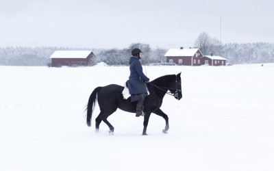 Vinterridning. Camilla på Flisan. 25 januari 2015.