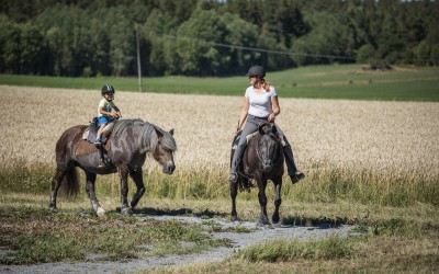 Nikola på Safir och Camilla på Flisan rider i halsring en het sommardag. Den 11 augusti 2017.