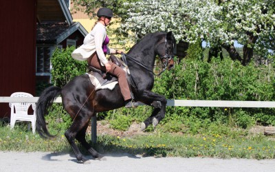 Mäktiga hästkrafter. Camilla & Excell 24 maj 2016.