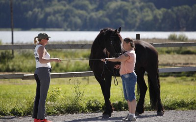 Ar-kurs 16 aug 2015. Camilla undervisar Kikki med sin egen häst Eros.